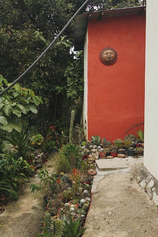 Cabana Campestre En 오아하카주 외부 사진