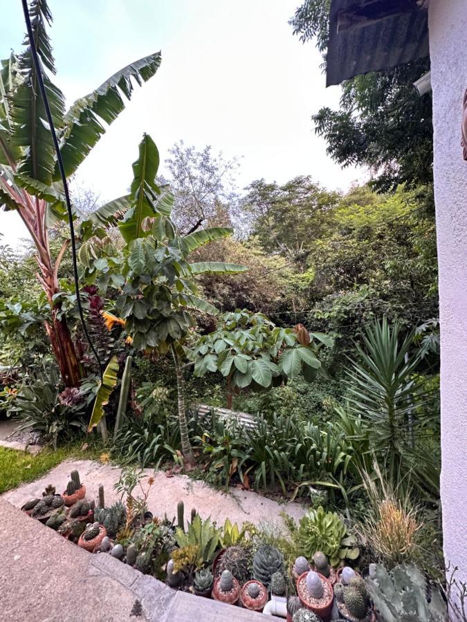 Cabana Campestre En 오아하카주 외부 사진